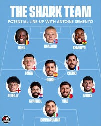 官方：米兰名宿伊布担任2026冬奥会火炬手